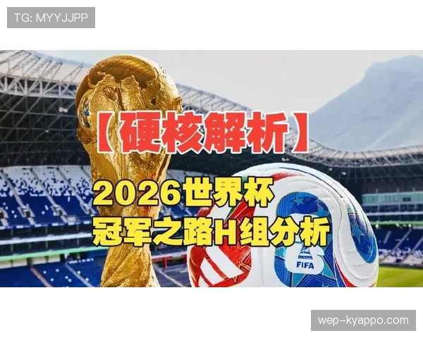 世界杯H组夺冠潜力球队分析